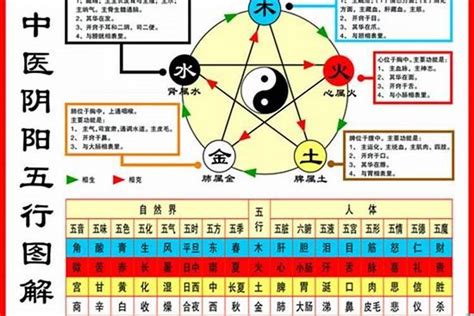 1984年五行属什么|1984年出生是什么命？(木鼠之命)